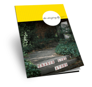 The Stinging Fly #21